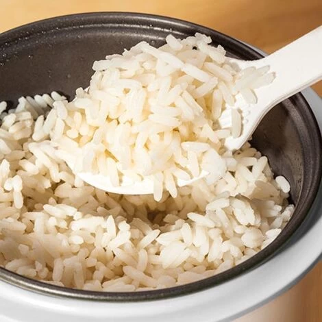 Judge Mini Rice Cooker 5 Judge Mini Rice Cooker - Image 5